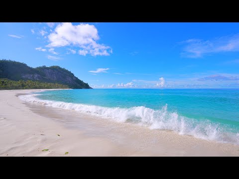 🏝 Tropical Beach in Summer. Ocean waves 4K Ultra HD