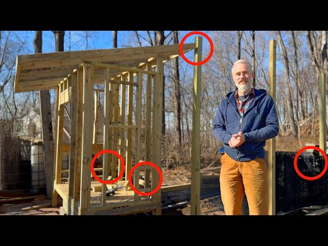 How Avian Flu will Change Chicken Coop and Run Design in 2025