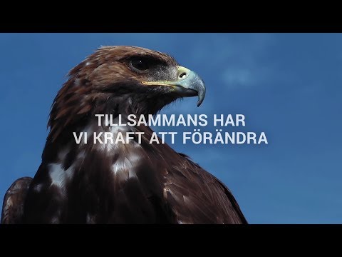 Det här är Naturskyddsföreningen