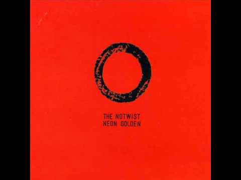 The Notwist - One Step Inside Doesn't Mean You Understand