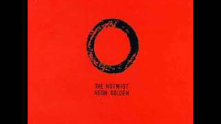 The Notwist - One Step Inside Doesn't Mean You Understand