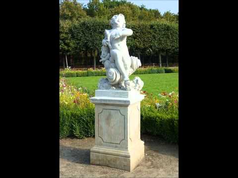 Johann Strauss Op.27 Die Sanguiniker / The Sanguine Ones