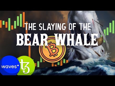BIG Bitcoin Move Coming💥 Slaying of the BearWhales!! This NEEDS TO HAPPEN!! Video
