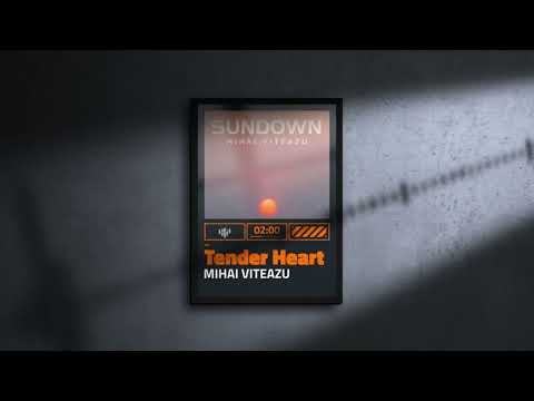 Mihai Viteazu - Tender heart (Original mix)