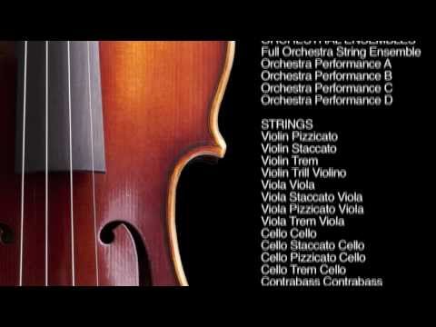 SampleTank iOS gets Miroslav Philharmonik Orchestral Sounds and iPad native Retina Graphics