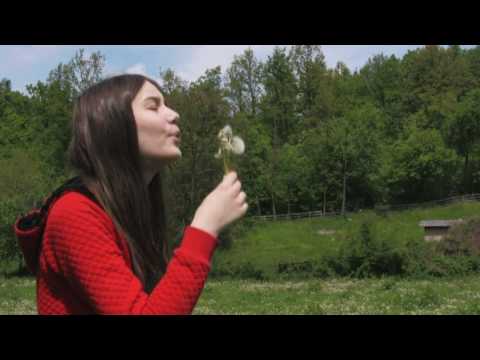 Portfolio Night 7 San Francisco 2009 Hosted by PJA