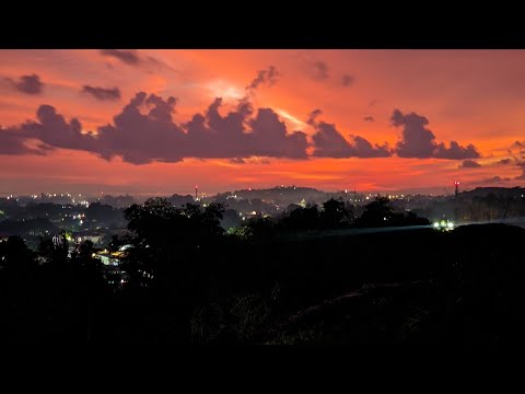 REGGAE VINEN HOSKINS PNG  •  MJ MUSIK