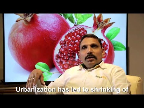 Agro ripe ammonia cold storage systems, dimensions: 13 x 9 x...