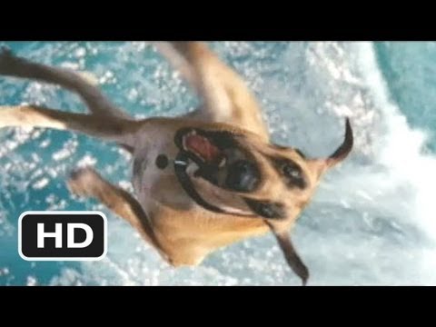 Marmaduke #5 Movie CLIP - Marmaduke Shreds (2010) HD