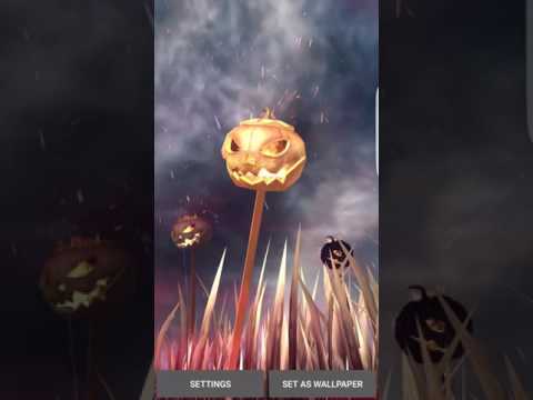 3D Pumpkins Grass FREE Video