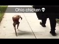 Ohio Chicken 💀