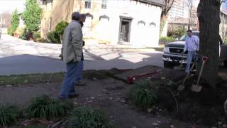 Martin House Sidewalk Repair