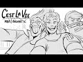 C Est La Vie MHA Animatic