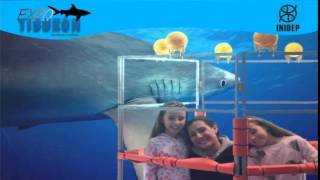 DIA 2 Expo Tiburon157