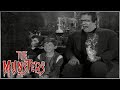 Herman S New Friend The Munsters