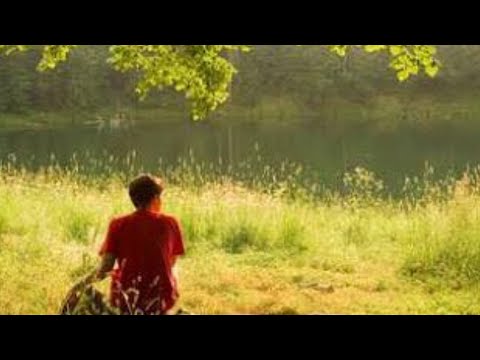 #54 Angels Ascending and Descending