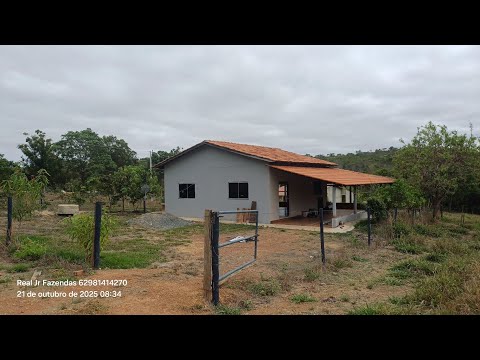 Chácara 20.000M2 VALOR 300.000 Próx Professor Jamil 60 kmdeGoiânia 62 9 8141-4270 Terra Escriturada 