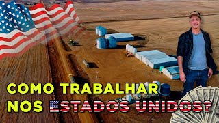 HOW TO WORK IN THE UNITED STATES OF AMERICA - AGRICULTURE EP-116