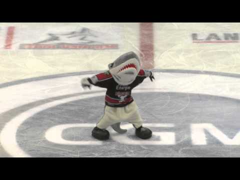 Sharky Derby Dance - Ausrasten bei voller Hütte