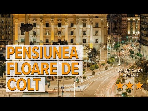 Pensiunea Floare De Colt hotel review | Hotels in Poiana Galdei | Romanian Hotels