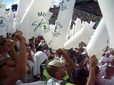 Torcida do Verdão em Prudente