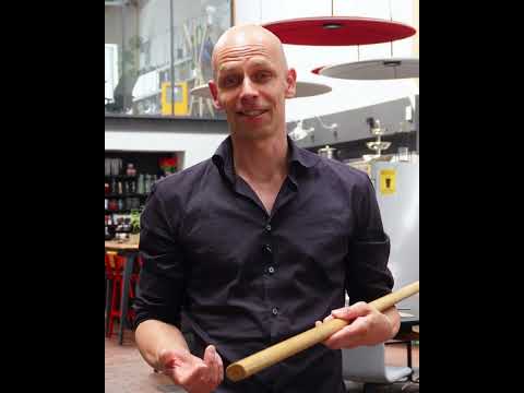 Friedrich Gülzow, Fokus Mind Video