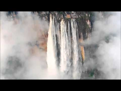 Zoosters breakout by Hans Zimmer