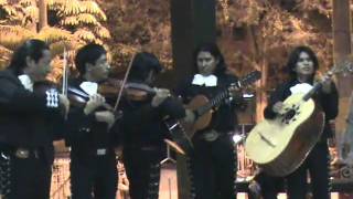 mariachi azteca de piura - la negra