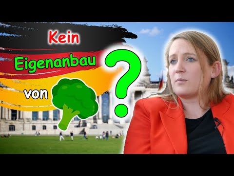 Legalisierung von Eigenanbau Aussagen SPD FDP Die Grünen