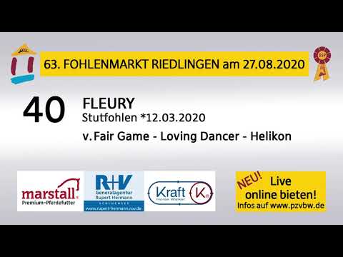 40 FLEURY - SF v. Fair Game-Loving Dancer - Fohlenauktion Riedlingen 2020