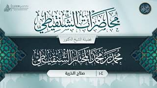 صورة محاضرات الشنقيطي {{104}} صلاح الذرية