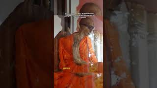 Sokushinbutsu: Buddhist Monks' Mummification for Enlightenment