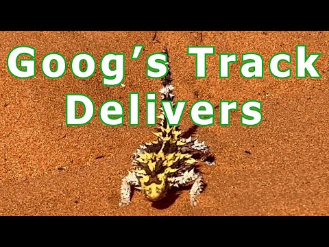 4x4 Adventures Australia | Overlanding as Remote as we can Get | Goog's Track North