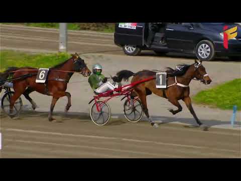 III Corsa del 6 Marzo 2022 - 5 Anni ed oltre - Gentlemen - Metri 1600