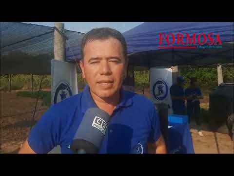 Entrega de insumos paipperos en Siete Palmas - Rubén Casco