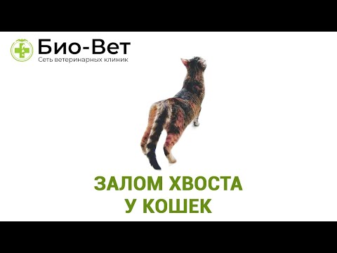 Давящая боль в грудине посередине отдающая в спину Дегенеративный артроз коленного сустава