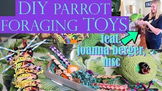 DIY PARROT FORAGING TOYS | Feat. Joanna Berger, MSc