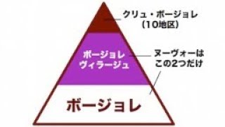 【英語物語】クリュ ボジョレー簡単攻略【ゲーム攻略】