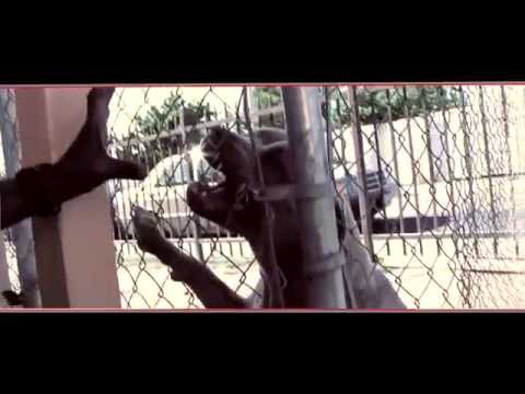 FOR THE KILL(official video)YG Mook, Boskoe1, Big Fase100