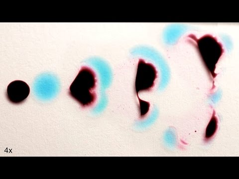 這些液體看起來很活潑! (These Liquids Look Alive!)