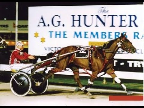 1994 1995 HARNESS RACING A G Hunter Cup