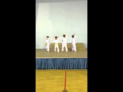 Zido karate show