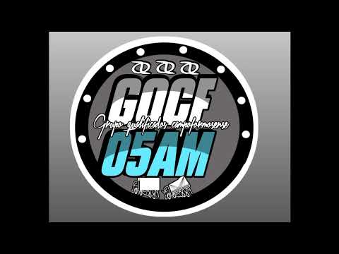 VERDADEIRA SACANAGEM • COM GRAVE • ANJØ⁶⁹ EDITS