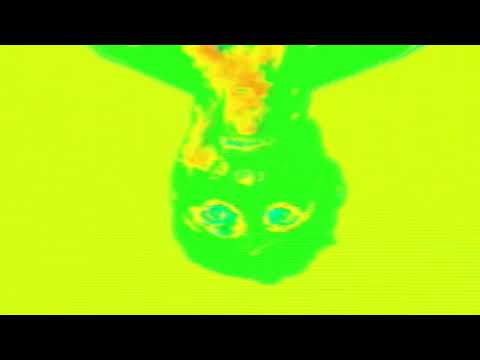 VUHwex - Organic Feedback Machine (Music Video Visualization)