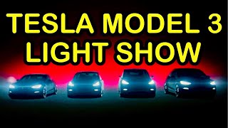 Tesla Model 3 Light Show Update #tesla #teslamodel3 #teslacar