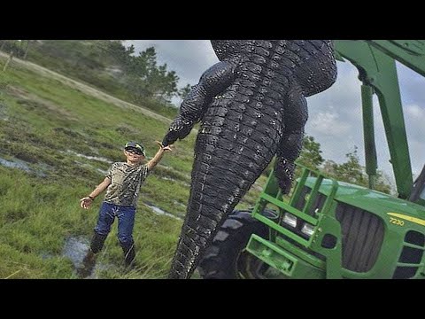 ON A TROUVÉ LE PLUS GRAND CROCODILE DU MONDE | Lama Faché