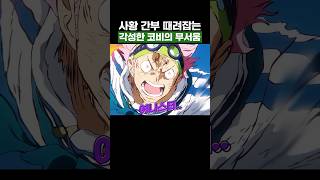 원피스) 사황 간부 때려잡는 각성한 코비의 무서움