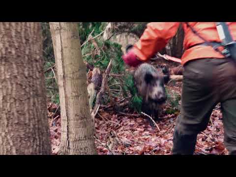 Hunt on Demand - Hunter Brothers