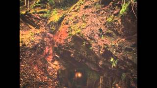 Baptists - Harm Induction (New Song 2014)