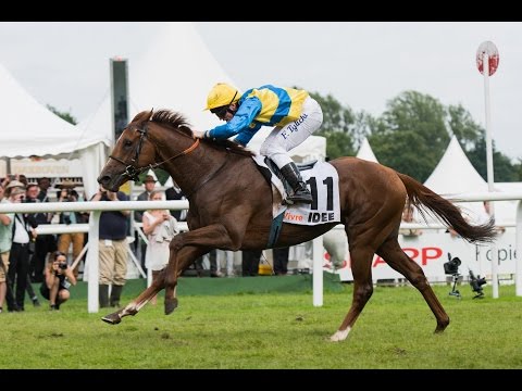 2016凱旋門賞サヴォワヴィーヴル（Savoir Vivre）参考レース